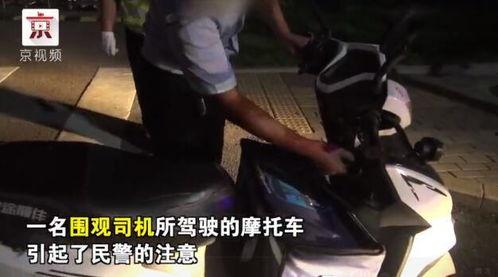 吃瓜群众围观巨兽,揭秘巨兽神秘面纱