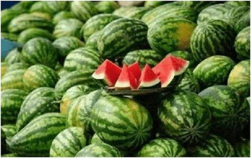 认真吃瓜中,网络热词背后的文化现象