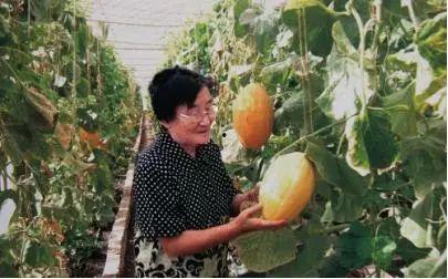 广东林同学吃瓜,一场校园美食的甜蜜邂逅