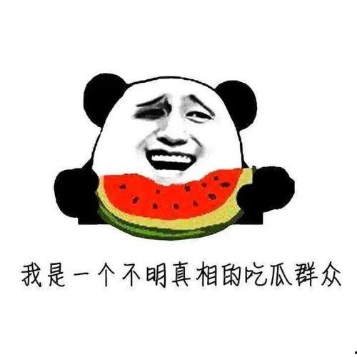 你不是吃瓜群众你是瓜,我不是吃瓜群众，我是瓜的制造者