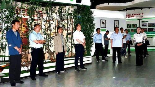 吃货小伟吃冰瓜,夏日消暑新体验