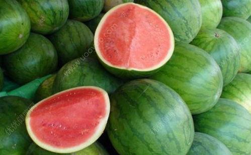 发烧可以吃生瓜嘛,生瓜能吃吗？营养专家解答