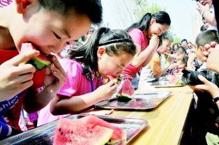 普陀吃瓜大赛视频,一场舌尖上的狂欢盛宴