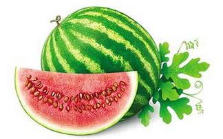 冬天吃的烂瓜,冬日暖阳下的烂瓜美食之旅