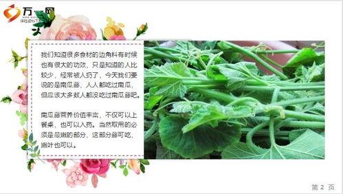 吃瓜ppt65页,揭秘娱乐圈幕后故事