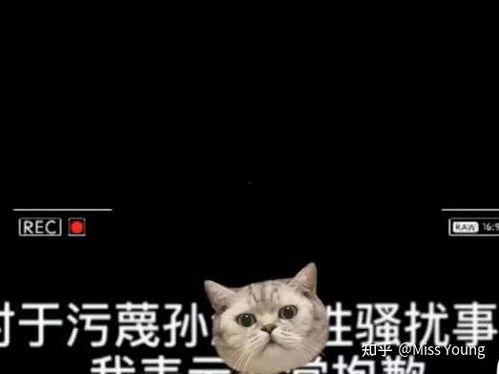 最新恶心吃瓜,揭秘明星们的惊人内幕与幕后故事