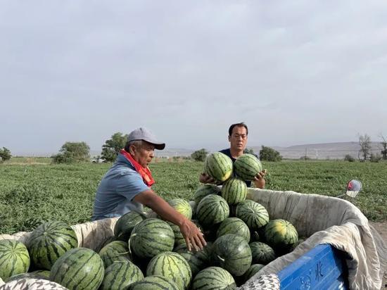 美国富人区吃瓜,揭秘隐秘生活背后的“吃瓜”故事