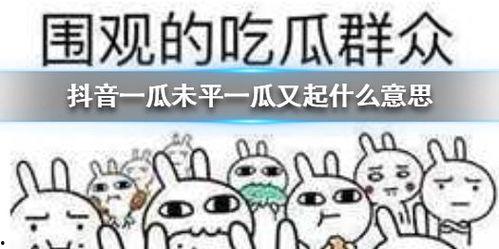 抖音小号吃瓜,揭秘娱乐圈幕后故事