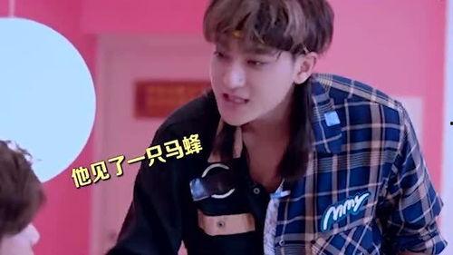 郭哥带你吃瓜,郭哥带你领略娱乐圈新鲜“瓜”事