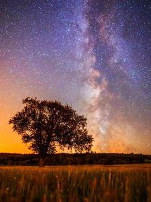 星空美女吃瓜图片大全,美女吃瓜图片大全赏析