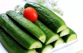 黄瓜吃瓜群众,夏日消暑的绿色佳肴，吃瓜群众的夏日必备