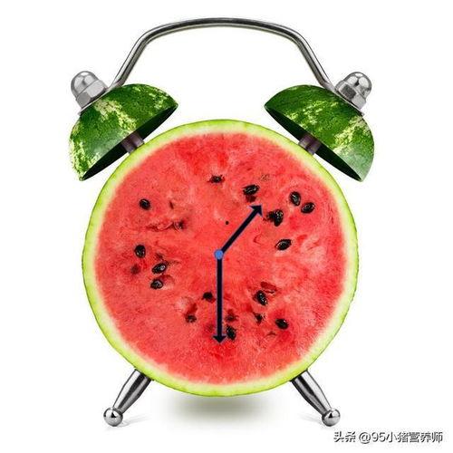 吃瓜小肥,揭秘娱乐圈那些不为人知的幕后故事