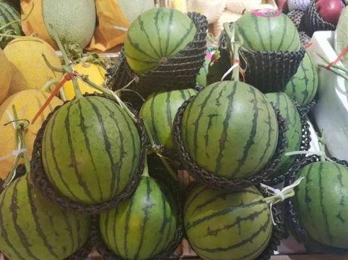 吃瓜小肥,揭秘娱乐圈那些不为人知的幕后故事