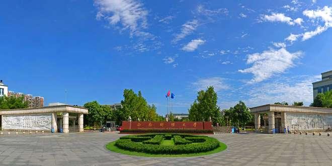 西南财经大学 吃瓜,揭秘“吃瓜”背后的经济现象