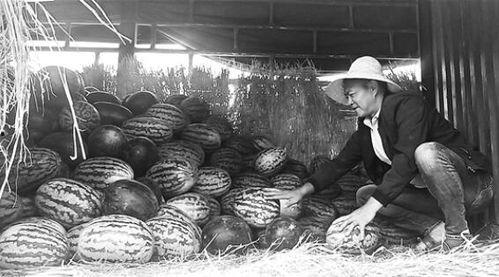 菏泽曹县吃瓜群众事件,网络舆论场上的风波与反思