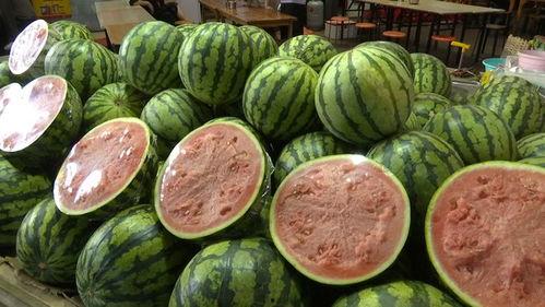 自由吃瓜基地组规,畅享轻松氛围，共度欢乐时光