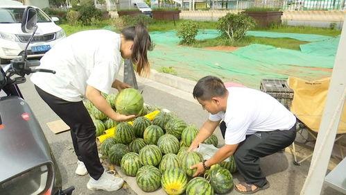 自由吃瓜基地组规,畅享轻松氛围，共度欢乐时光
