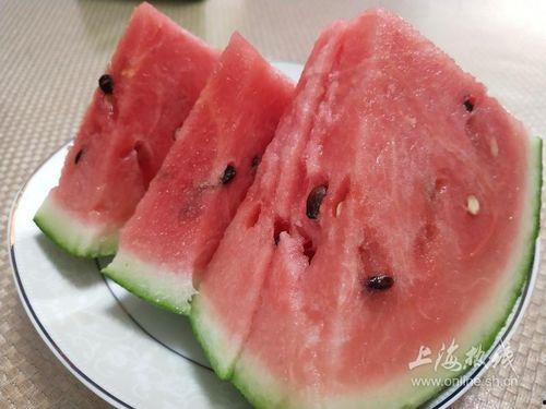 上海31吃瓜群,揭秘都市生活里的八卦盛宴