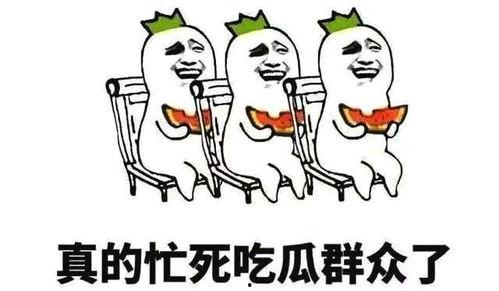 吃瓜青你2,揭秘选手幕后故事与精彩瞬间