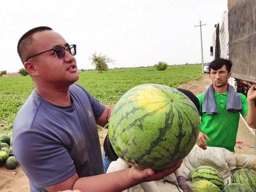 高俊吃瓜版,揭秘娱乐圈幕后真相，带你领略明星们的真实生活