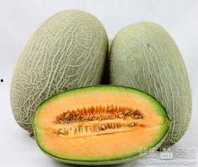 小鸡吃哈密瓜吗