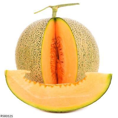 小鸡吃哈密瓜吗