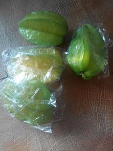 哈密瓜放三天还可以吃吗,“三天后哈密瓜还能食用吗？”