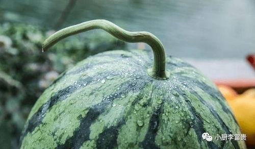 清der.吃瓜中,网络热词背后的文化现象