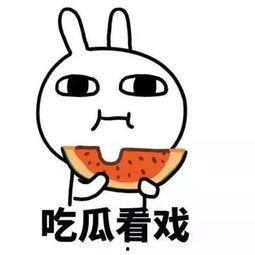 热点吃瓜话题,事件背后真相大起底