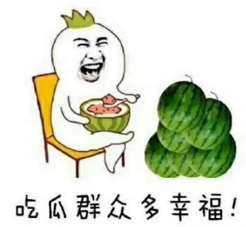 早上快乐吃瓜,快乐开启美好一天
