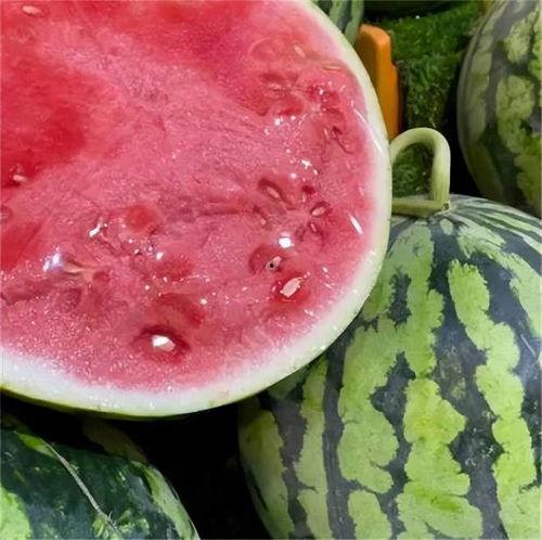 带你吃瓜背景太假了,吃瓜背后的真实故事，真相令人震惊！