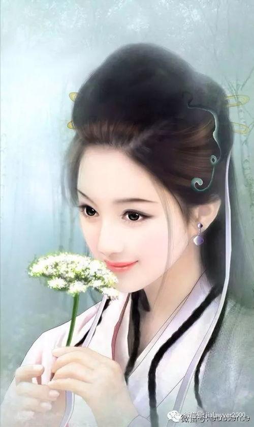 吃瓜侍女后续小说