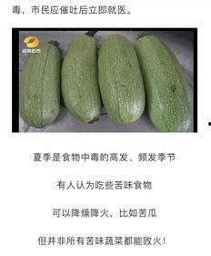 网上吃瓜要注意什么,安全、理性、文明享受网络热点