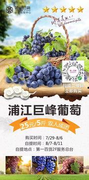 吃瓜百货,揭秘日常生活中的趣味消费现象