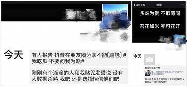 抖音分享吃瓜,揭秘网红吃瓜背后的故事