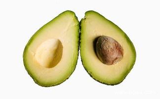 牛油果战士吃瓜,牛油果战士的瓜界冒险记