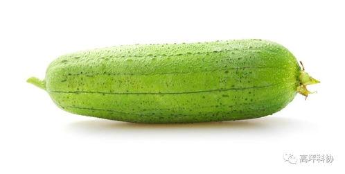 放松瓜怎么吃,放松瓜的多样食用指南