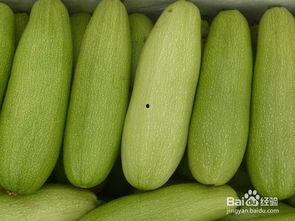 吃白瓜尖的好处,健康饮食新选择