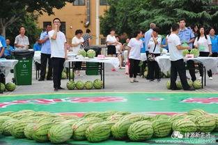 多机位吃瓜现场,揭秘吃瓜现场的火爆瞬间