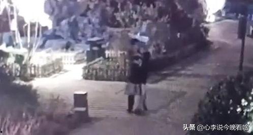 最新恐怖吃瓜爆料视频