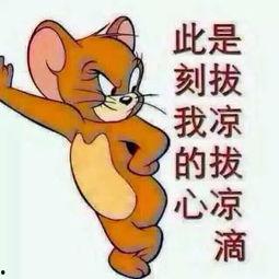 吃瓜群众周岁照片大全