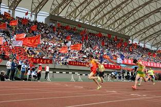 运动会开幕吃瓜