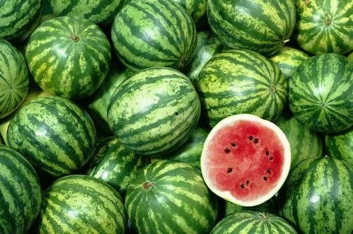 吃瓜神器资源在线,在线资源带你畅享娱乐盛宴