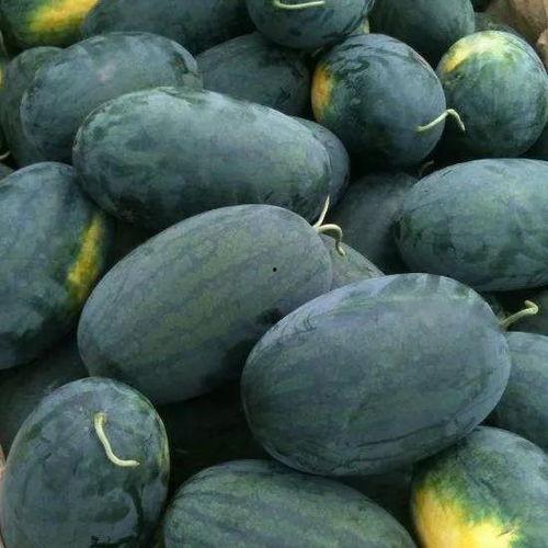 吃瓜号码,一场网络狂欢的幕后真相