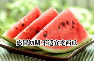 感冒什么瓜可以吃,这几种瓜类食物助你恢复健康