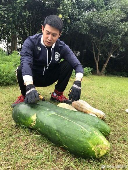 奇葩吃大瓜,奇葩吃大瓜，明星隐私大曝光