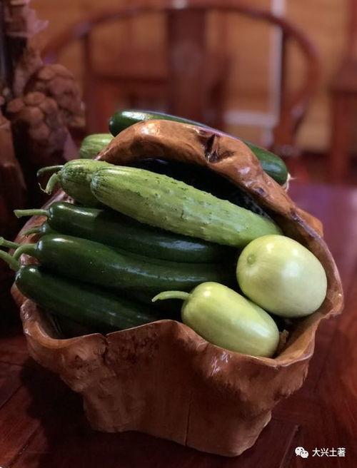 康县网红吃瓜,揭秘当地美食背后的故事