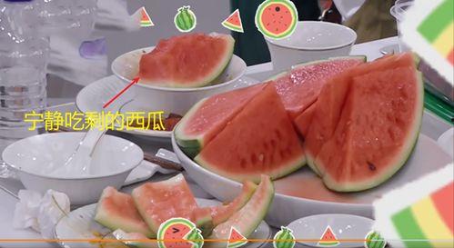 最新吃瓜酒店,明星云集，幕后故事大揭秘！