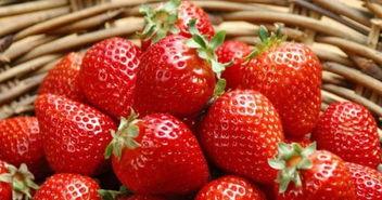 草莓可以和土瓜一起吃吗,健康美味两不误