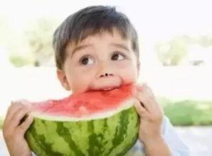 阿哥带你吃瓜,解锁美食新境界